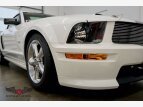 Thumbnail Photo 26 for 2007 Ford Mustang GT Coupe